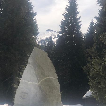 Apartmany U Vleku - Podkrovni Apartman Karlova Studánka Exteriér fotografie