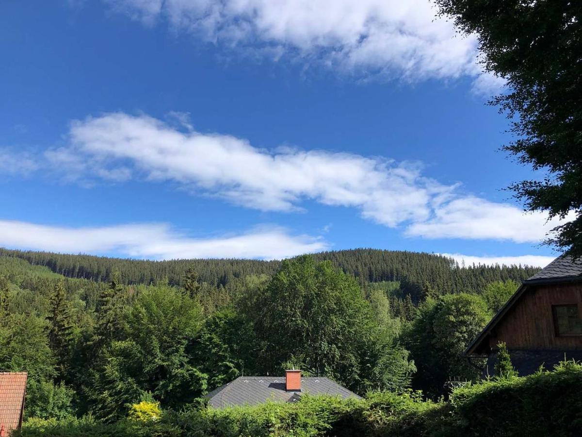 Apartmany U Vleku - Podkrovni Apartman Karlova Studánka Exteriér fotografie