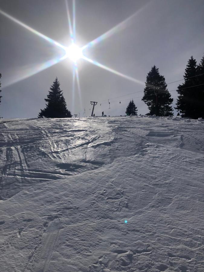 Apartmany U Vleku - Podkrovni Apartman Karlova Studánka Exteriér fotografie