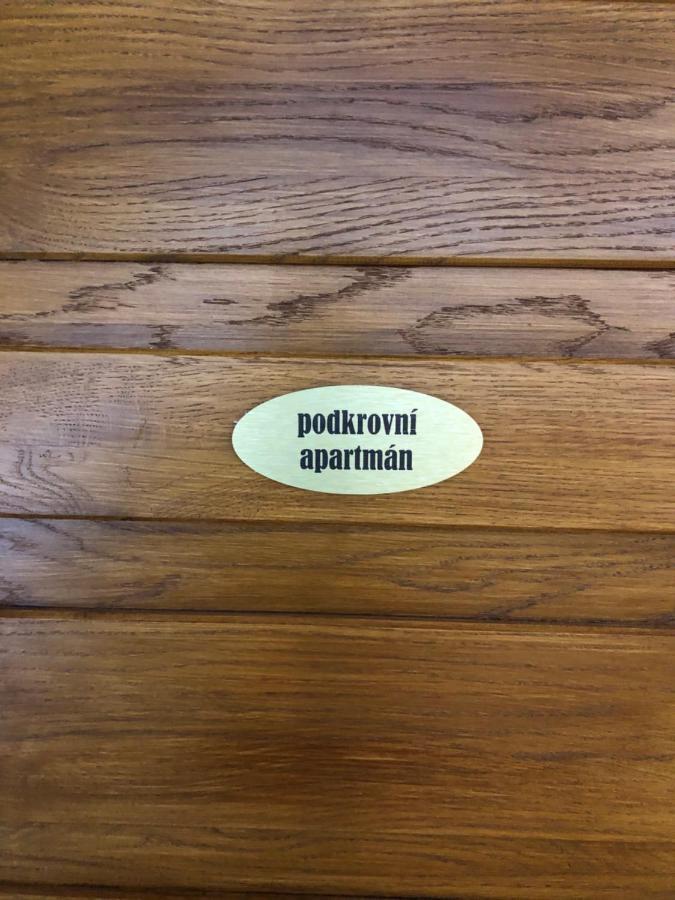 Apartmany U Vleku - Podkrovni Apartman Karlova Studánka Exteriér fotografie
