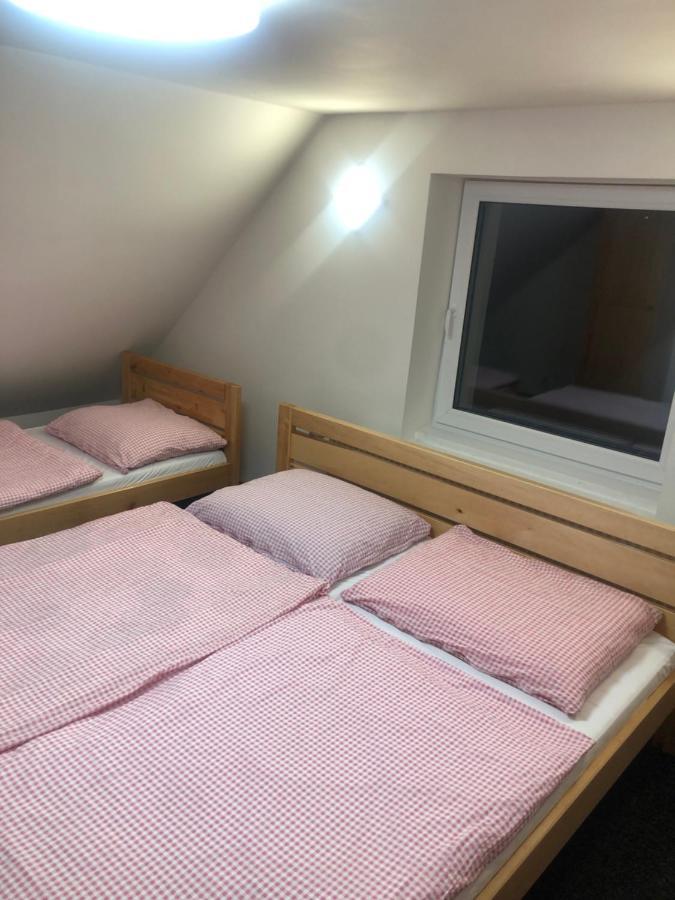 Apartmany U Vleku - Podkrovni Apartman Karlova Studánka Exteriér fotografie
