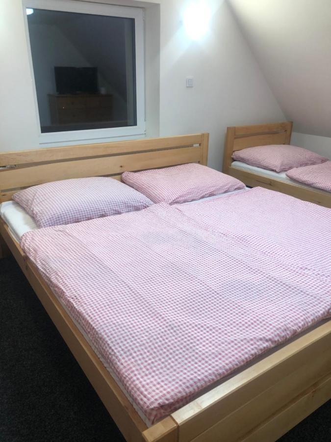 Apartmany U Vleku - Podkrovni Apartman Karlova Studánka Exteriér fotografie